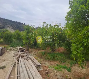 Golden Home Property Image