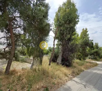 Professional Plot 830m<sup>2</sup> for sale photo 1