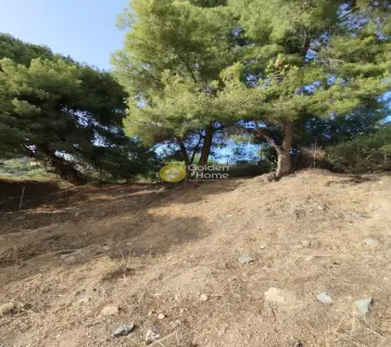 Οικιστικό 500τ.μ. προς πώληση φωτογραφία 4282346