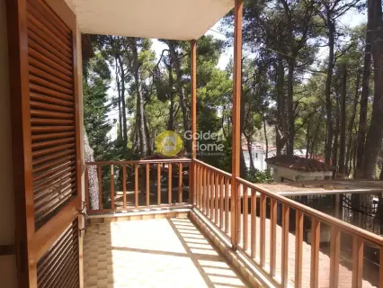 独立复式小屋 275m<sup>2</sup> for sale photo 31