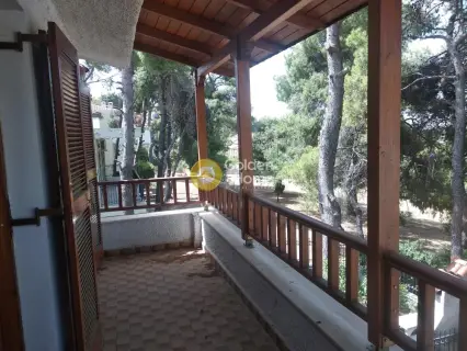 独立复式小屋 275m<sup>2</sup> for sale photo 45