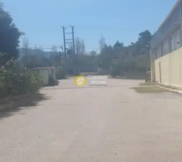 Πώληση Επιχείρησης 2301τ.μ. προς πώληση φωτογραφία 4279728