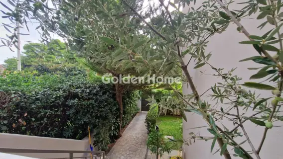 Μονοκατοικία 288τ.μ. προς πώληση φωτογραφία 3