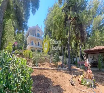 Golden Home Property Image