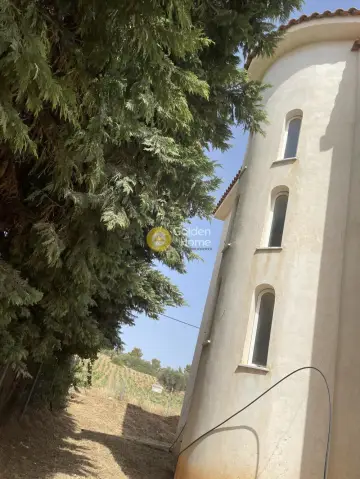 Μονοκατοικία 290τ.μ. προς πώληση φωτογραφία 7