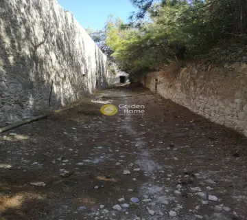 独立建筑 720m<sup>2</sup> for sale photo 5