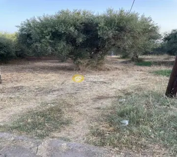 Residential 700m<sup>2</sup> for sale photo 2