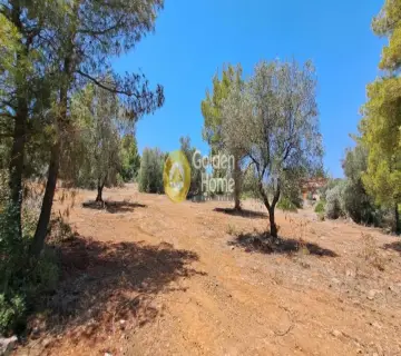 Residential 1000m<sup>2</sup> for sale photo 4296958