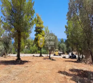 Residential 1000m<sup>2</sup> for sale photo 4296960