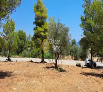 Residential 1000m<sup>2</sup> for sale photo 4296961