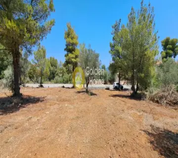 Residential 1000m<sup>2</sup> for sale photo 4296962