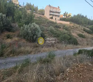 Οικιστικό 447τ.μ. προς πώληση φωτογραφία 4272825