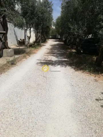 Βιομηχανικός - Βιοτεχνικός Χώρος 615τ.μ. προς πώληση φωτογραφία 15
