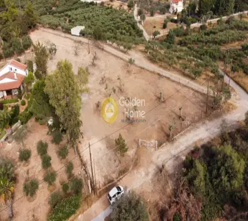 Golden Home Property Image