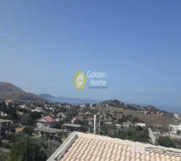 Μονοκατοικία 510τ.μ. προς πώληση φωτογραφία 4