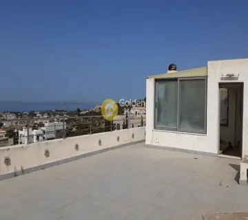 Μονοκατοικία 510τ.μ. προς πώληση φωτογραφία 3