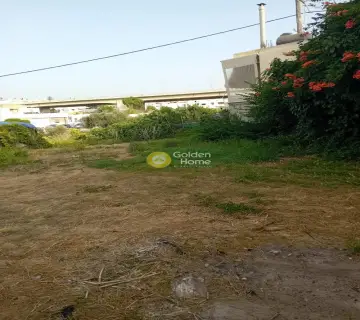 Επαγγελ. Οικόπεδο 706τ.μ. προς ενοικίαση φωτογραφία 4278699