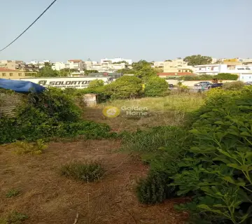 Επαγγελ. Οικόπεδο 706τ.μ. προς ενοικίαση φωτογραφία 4278699