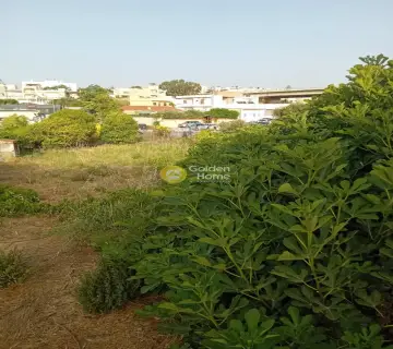 Επαγγελ. Οικόπεδο 706τ.μ. προς ενοικίαση φωτογραφία 4278700