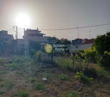 Επαγγελ. Οικόπεδο 706τ.μ. προς ενοικίαση φωτογραφία 4278700
