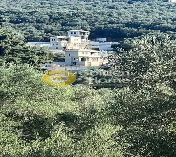 Residence complex 375m<sup>2</sup> for sale photo 4277372