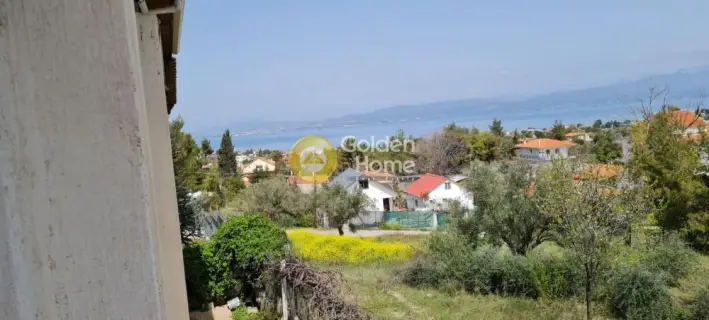 House 301m<sup>2</sup> for sale photo 3