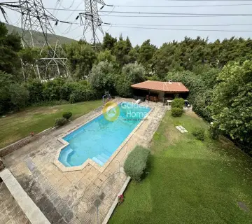 复合住宅 525m<sup>2</sup> for sale photo 3