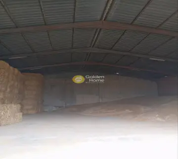 Warehouse 2100m<sup>2</sup> for rent photo 10