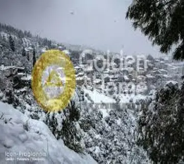 Golden Home Property Image