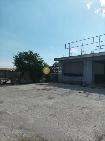 Επαγγελ. Οικόπεδο 1000τ.μ. προς ενοικίαση φωτογραφία 4285180