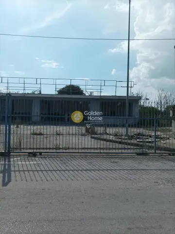 Επαγγελ. Οικόπεδο 1000τ.μ. προς ενοικίαση φωτογραφία 4285190