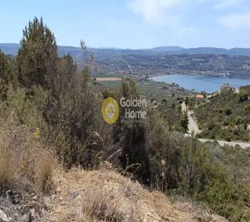 Residential 1042m<sup>2</sup> for sale photo 4285542