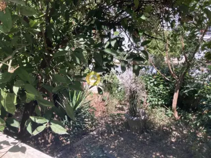 Μονοκατοικία 79τ.μ. προς πώληση φωτογραφία 20