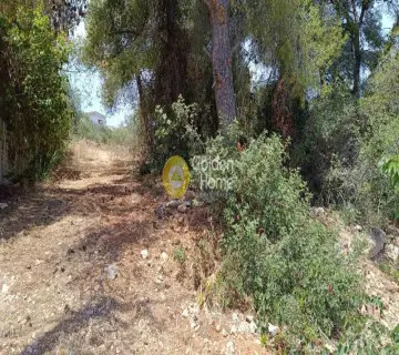 Residential 4065m<sup>2</sup> for sale photo 4296620