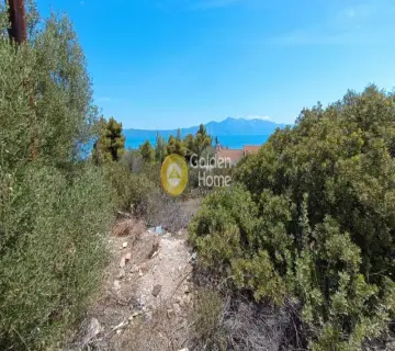 Residential 4065m<sup>2</sup> for sale photo 4296621