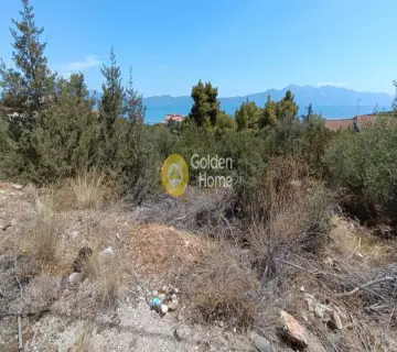 Residential 4065m<sup>2</sup> for sale photo 4296623