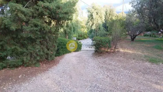 住宅 691m<sup>2</sup> for sale photo 3