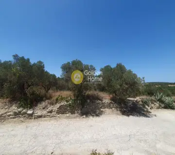 Residential 903m<sup>2</sup> for sale photo 4297724