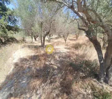 Residential 903m<sup>2</sup> for sale photo 4297736