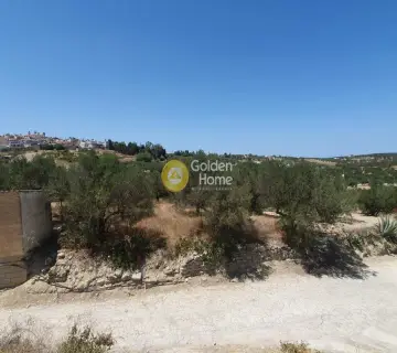 Residential 903m<sup>2</sup> for sale photo 4297722