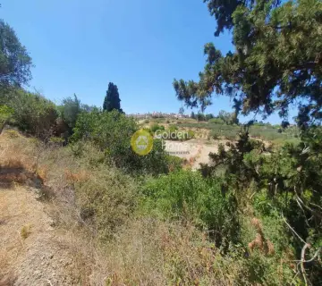 Residential 903m<sup>2</sup> for sale photo 4297737