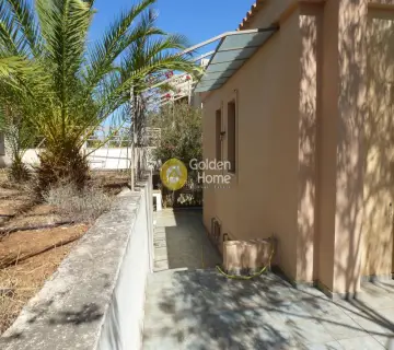 Independent Maisonette 221m<sup>2</sup> for sale photo 4