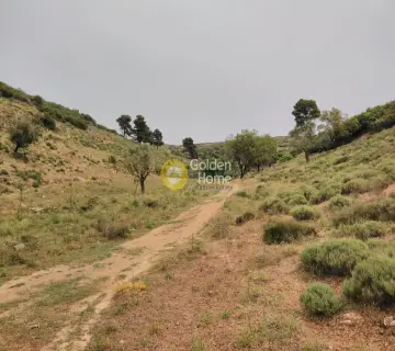 Parcel 38600m<sup>2</sup> for sale photo 7