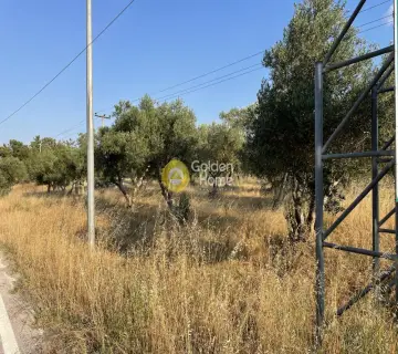 Αγροτεμάχιο 4875τ.μ. προς πώληση φωτογραφία 4