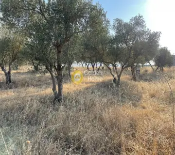 Αγροτεμάχιο 4875τ.μ. προς πώληση φωτογραφία 3