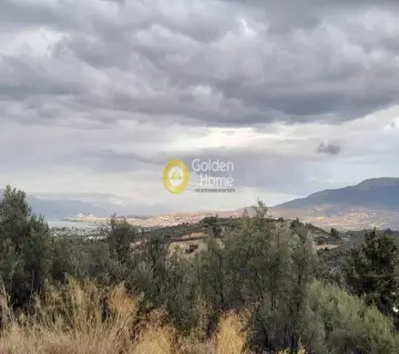 Residential 3500m<sup>2</sup> for sale photo 3