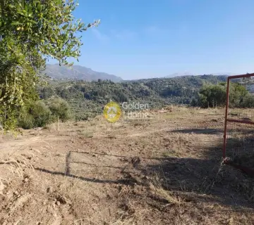 Residential 3500m<sup>2</sup> for sale photo 4