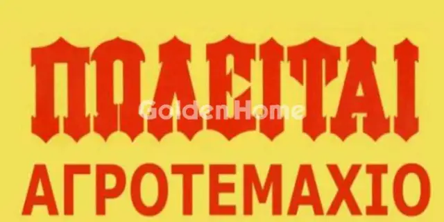 Golden Home Property Image