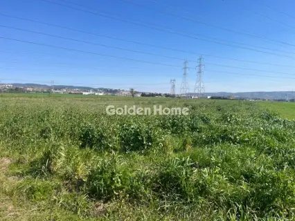 Αγροτεμάχιο 19800τ.μ. προς πώληση φωτογραφία 5321965