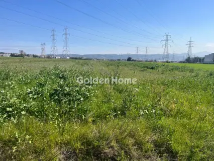 Αγροτεμάχιο 19800τ.μ. προς πώληση φωτογραφία 5321967